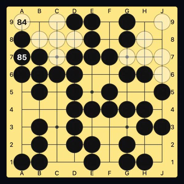 9×9 после подсчёта: мёртвые белые камни показаны бледными